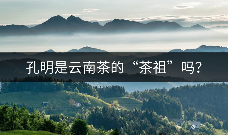 孔明是云南茶的“茶祖”嗎？