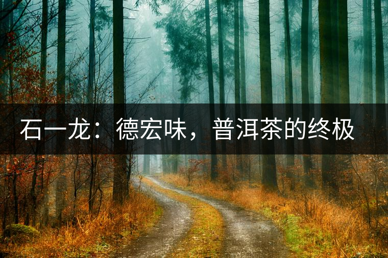 石一龍：德宏味，普洱茶的終極意境