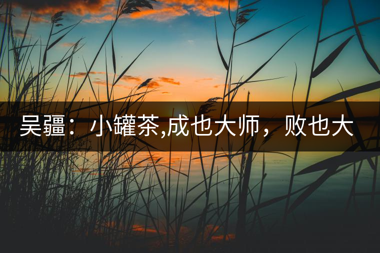 吳疆：小罐茶,成也大師，敗也大師