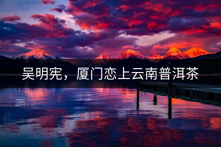 吳明憲，廈門戀上云南普洱茶