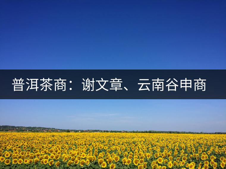 普洱茶商：謝文章、云南谷申商貿(mào)有限公司總經(jīng)理