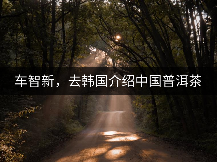 車智新，去韓國介紹中國普洱茶