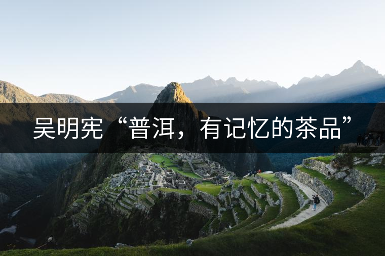 吳明憲“普洱，有記憶的茶品”