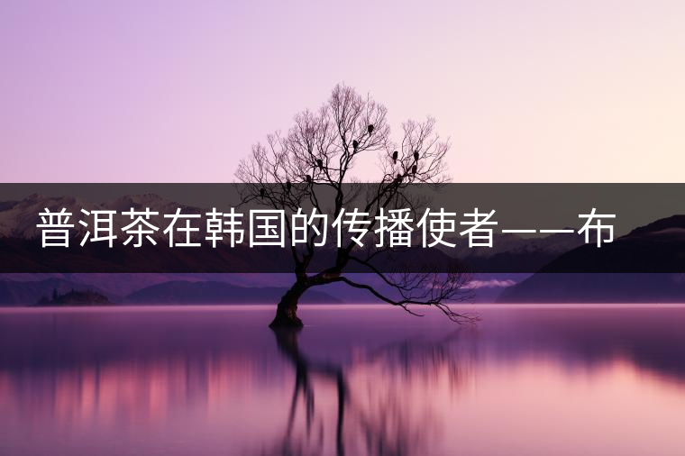 普洱茶在韓國的傳播使者——布朗株式會社 普洱茶在韓國的傳播使者——布朗株式會社
