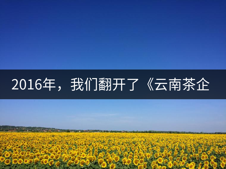 2016年，我們翻開了《云南茶企發(fā)展白皮書》