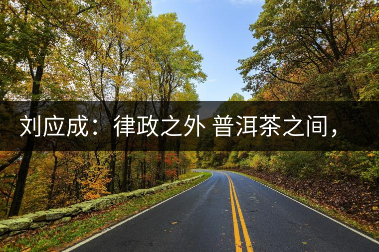 劉應(yīng)成：律政之外 普洱茶之間，在峨毛茶上的三個首創(chuàng)