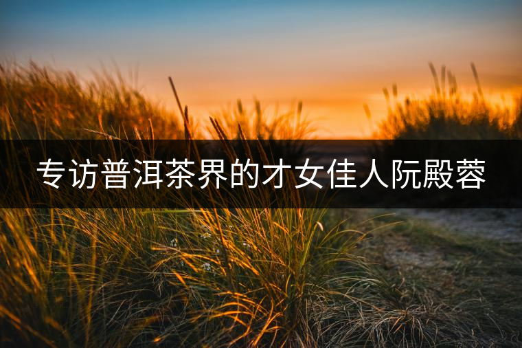 專(zhuān)訪普洱茶界的才女佳人阮殿蓉