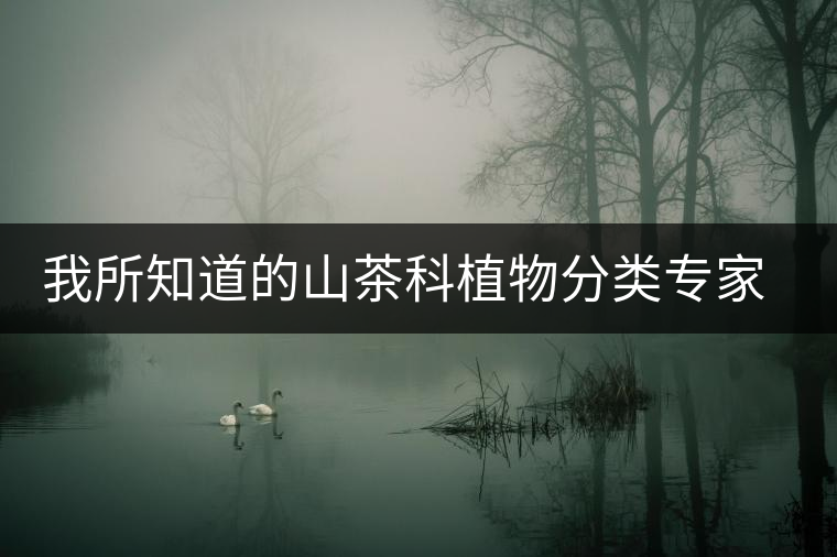 我所知道的山茶科植物分類專家:張宏達(dá)先生 我所知道的山茶科植物分類專家:張宏達(dá)先生