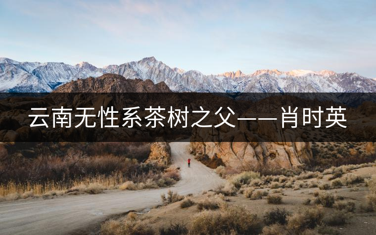 云南無性系茶樹之父——肖時(shí)英