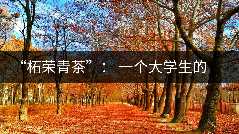 “柘榮青茶”： 一個大學生的創(chuàng)業(yè)夢想