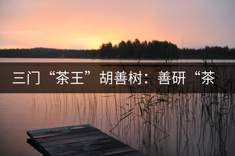 三門(mén)“茶王”胡善樹(shù):善研“茶經(jīng)”有建樹(shù) 三門(mén)“茶王”胡善樹(shù):善研“茶經(jīng)”有建樹(shù)