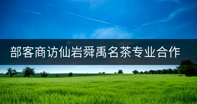 部客商訪仙巖舜禹名茶專業(yè)合作社負責(zé)人鮑樟苗 部客商訪仙巖舜禹名茶專業(yè)合作社負責(zé)人鮑樟苗