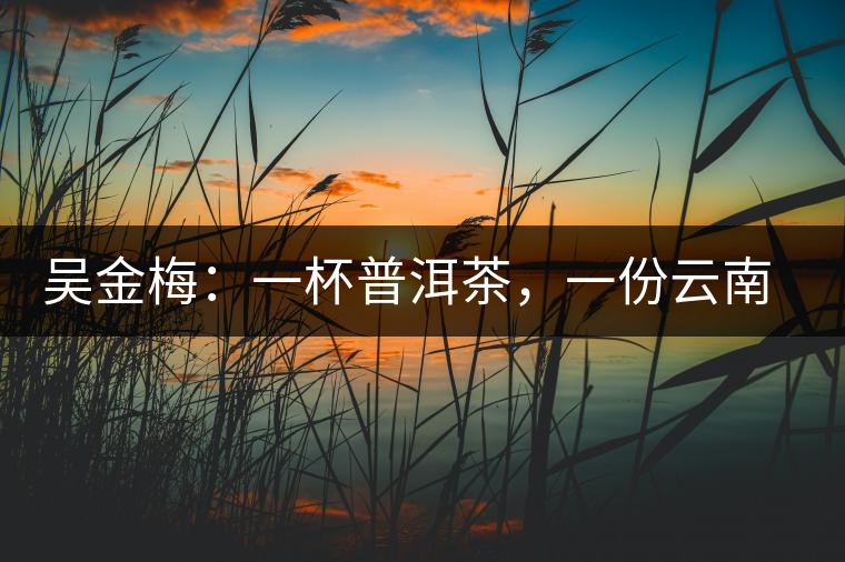 吳金梅：一杯普洱茶，一份云南情