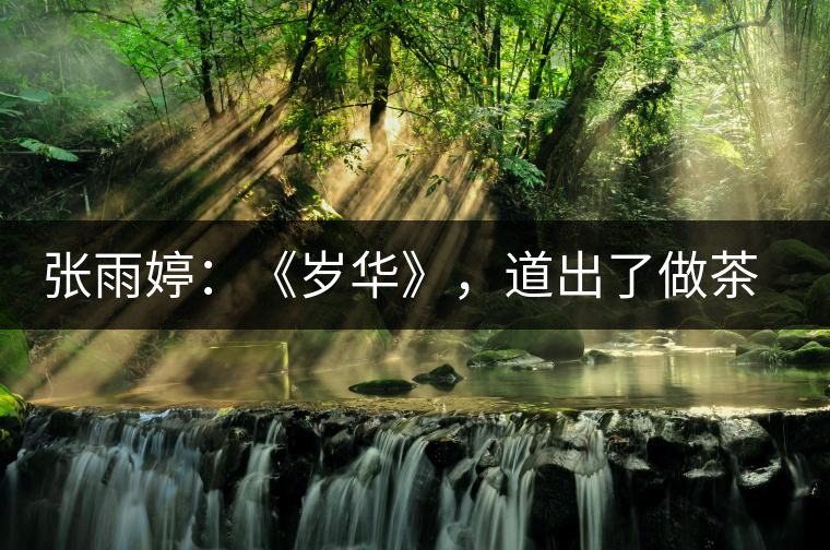 張雨婷：《歲華》，道出了做茶人的寂寞