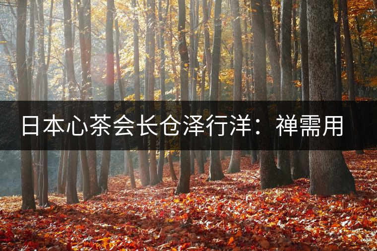 日本心茶會(huì)長(zhǎng)倉(cāng)澤行洋：禪需用茶去“抵達(dá)”