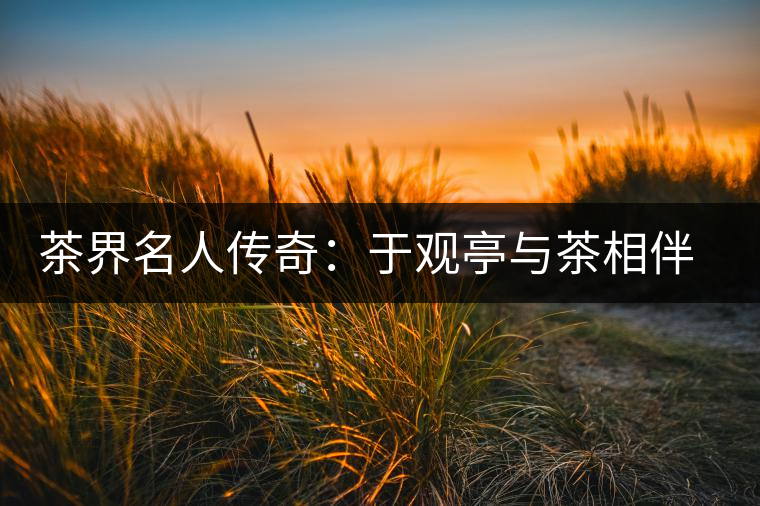 茶界名人傳奇:于觀亭與茶相伴是美麗的“錯(cuò)誤” 茶界名人傳奇:于觀亭與茶相伴是美麗的“錯(cuò)誤”