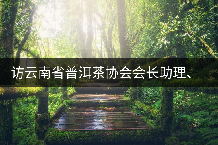 訪云南省普洱茶協(xié)會(huì)會(huì)長(zhǎng)助理、副秘書(shū)長(zhǎng)、茶界名人張明春