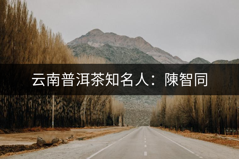 云南普洱茶知名人:陳智同 云南普洱茶知名人:陳智同