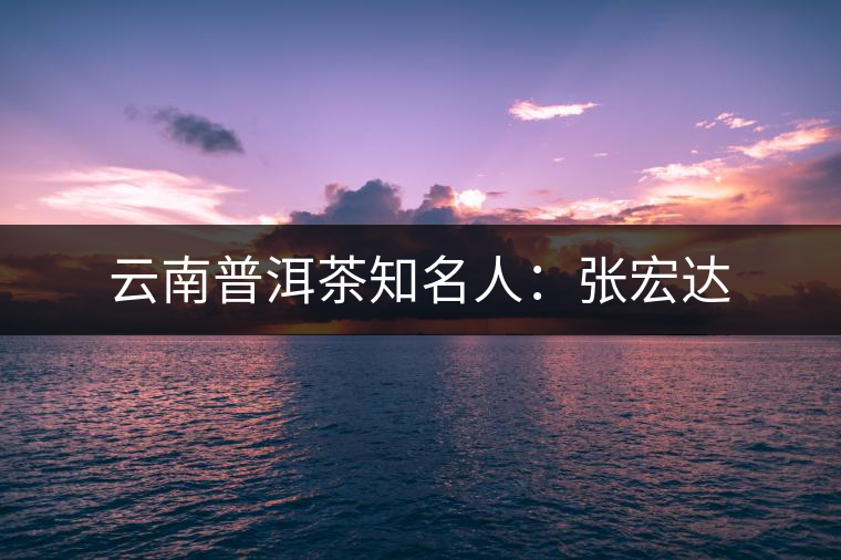云南普洱茶知名人:張宏達 云南普洱茶知名人:張宏達