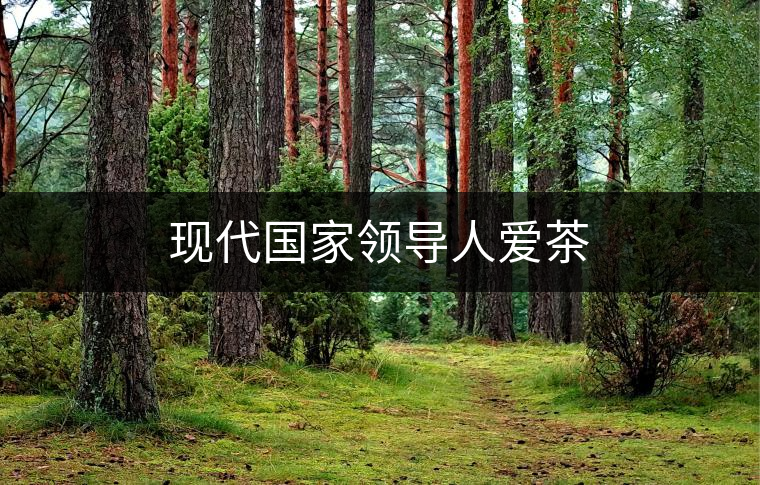 現(xiàn)代國家領導人愛茶