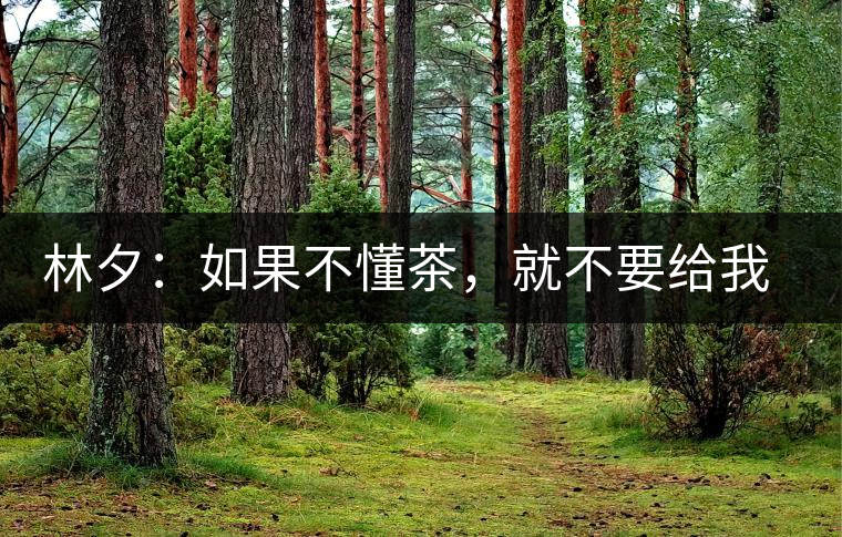 林夕：如果不懂茶，就不要給我送茶