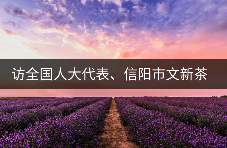 訪全國人大代表、信陽市文新茶葉有限責任公司董事長劉文新