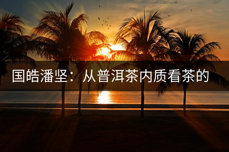 國(guó)皓潘堅(jiān):從普洱茶內(nèi)質(zhì)看茶的好壞 國(guó)皓潘堅(jiān):從普洱茶內(nèi)質(zhì)看茶的好壞