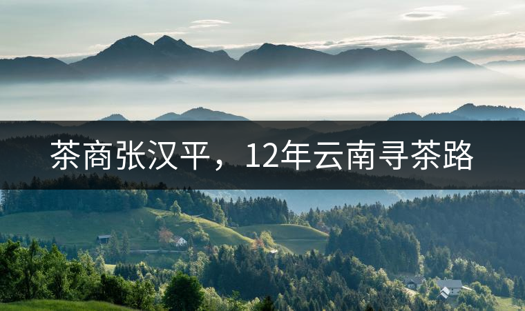 茶商張漢平，12年云南尋茶路