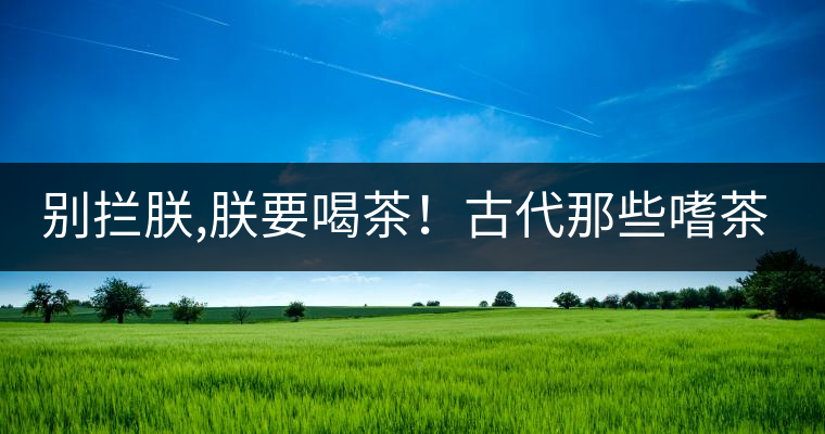 別攔朕,朕要喝茶！古代那些嗜茶如命的皇帝