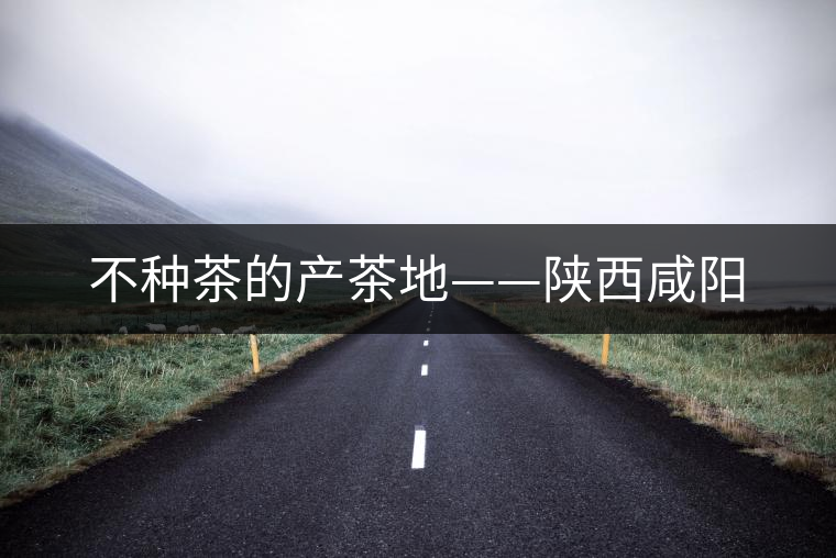 不種茶的產(chǎn)茶地——陜西咸陽