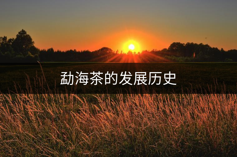 勐海茶的發(fā)展歷史 勐海茶的發(fā)展歷史