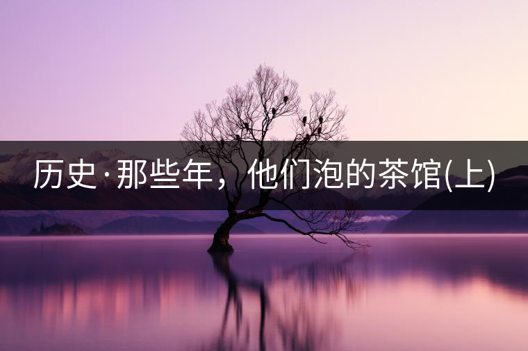 歷史·那些年，他們泡的茶館(上)