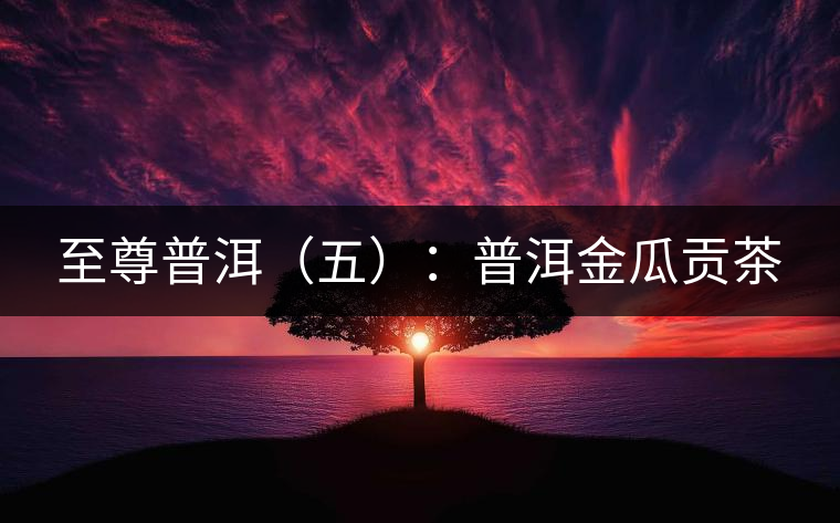 至尊普洱（五）：普洱金瓜貢茶