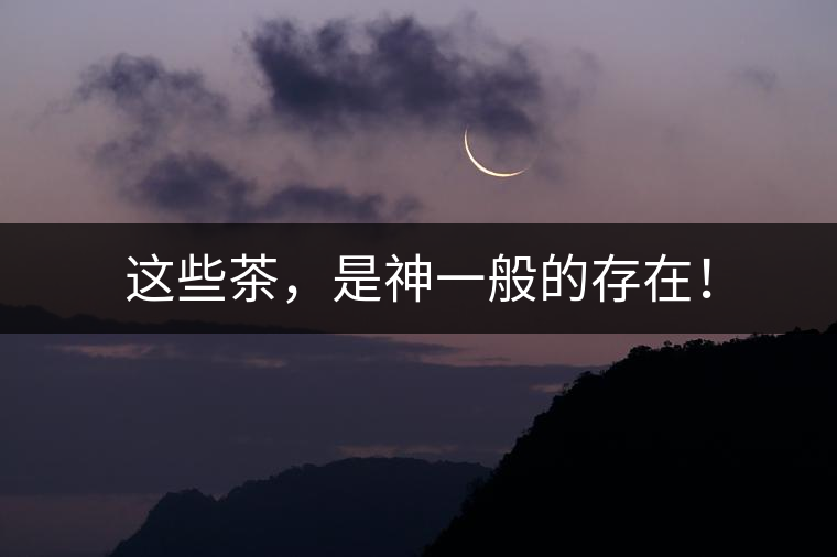 這些茶，是神一般的存在！