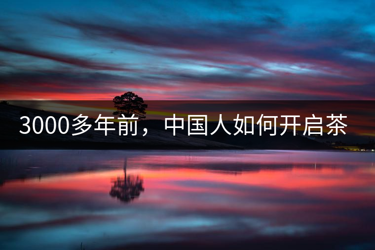 3000多年前，中國人如何開啟茶生活？