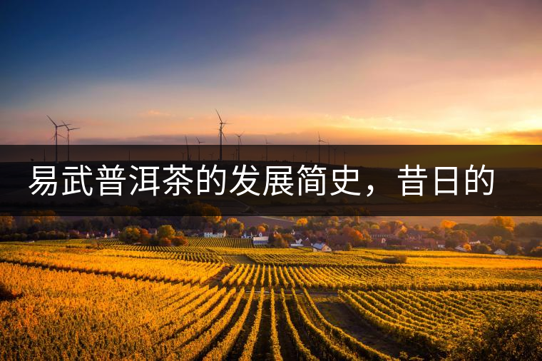 易武普洱茶的發(fā)展簡史，昔日的貢茶如今依然輝煌