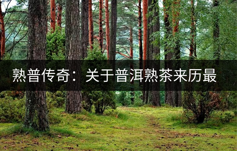 熟普傳奇:關(guān)于普洱熟茶來歷最詳細的編年史 熟普傳奇:關(guān)于普洱熟茶來歷最詳細的編年史