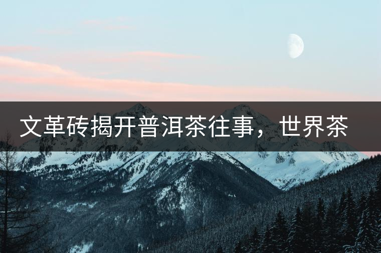 文革磚揭開(kāi)普洱茶往事，世界茶文化交流協(xié)會(huì)成員共品經(jīng)典文革磚！