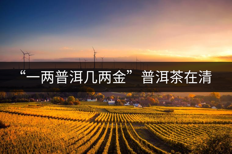 “一兩普洱幾兩金”普洱茶在清代為啥這么火？！