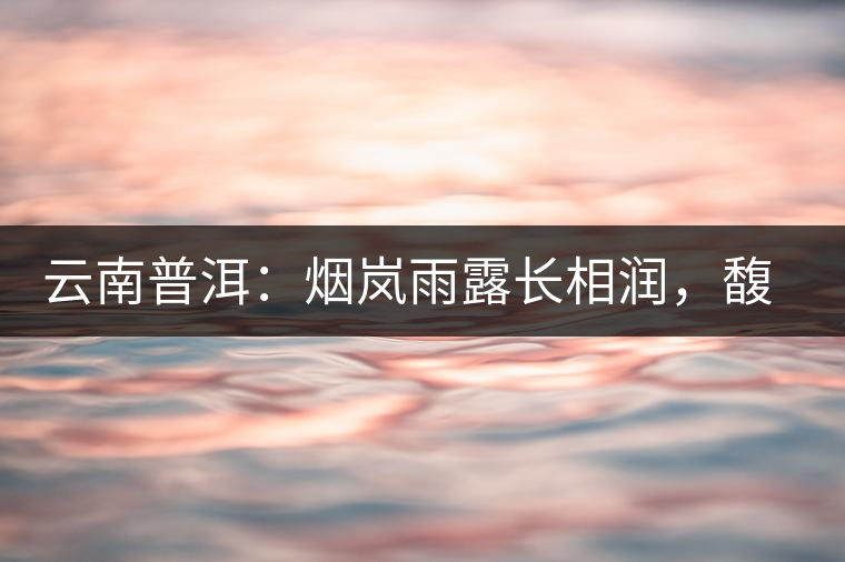 云南普洱：煙嵐雨露長相潤，馥郁芳香久久留
