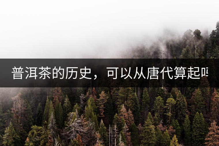 普洱茶的歷史，可以從唐代算起嗎？