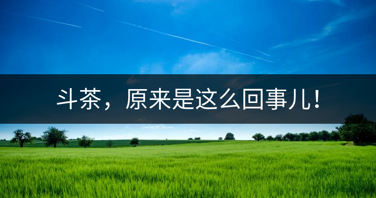 斗茶，原來(lái)是這么回事兒！