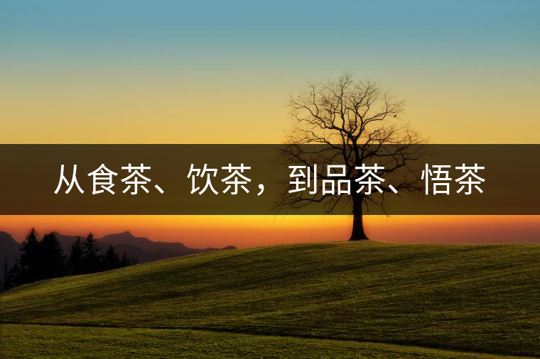 從食茶、飲茶，到品茶、悟茶