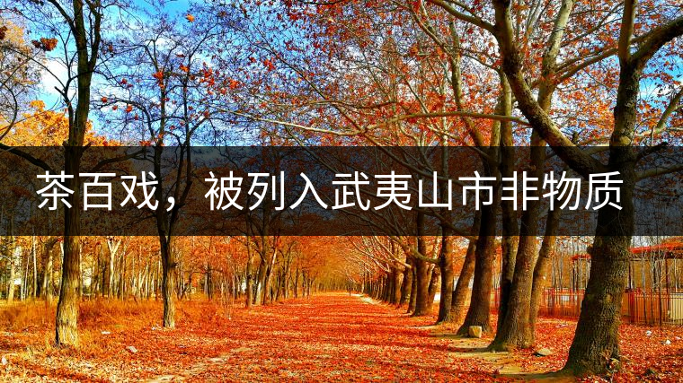 茶百戲，被列入武夷山市非物質(zhì)文化遺產(chǎn)的茶湯