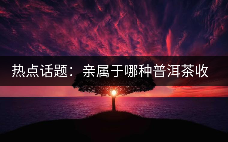 熱點(diǎn)話題：親屬于哪種普洱茶收藏者？