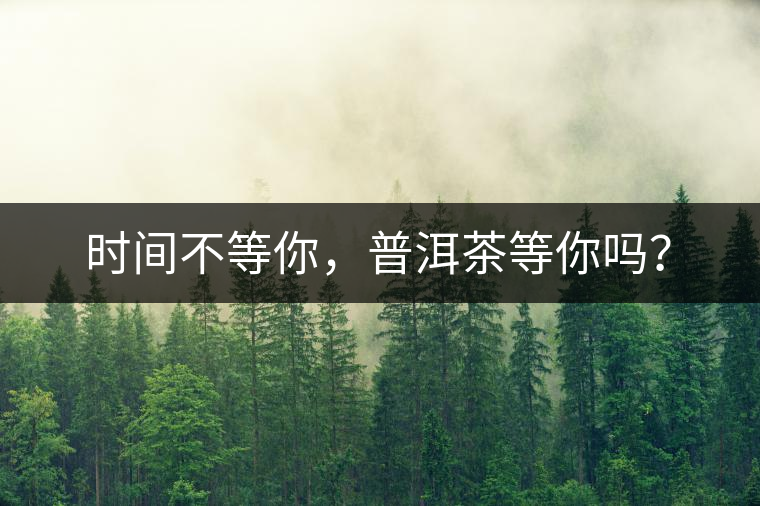 時間不等你，普洱茶等你嗎？