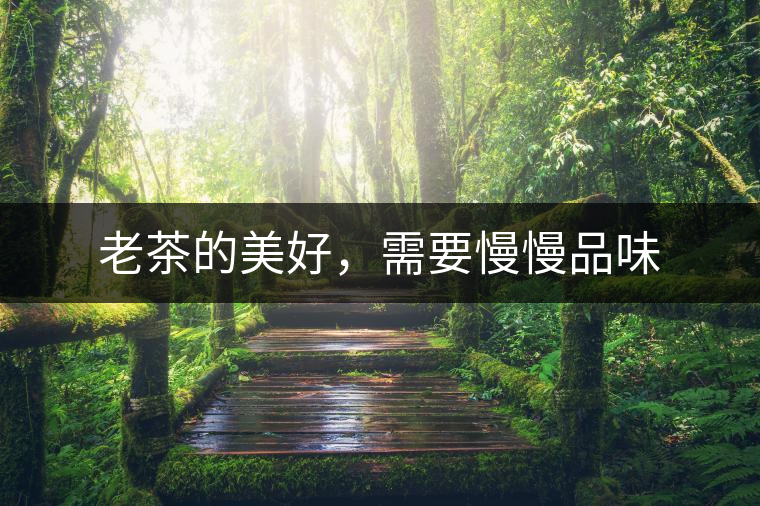 老茶的美好，需要慢慢品味