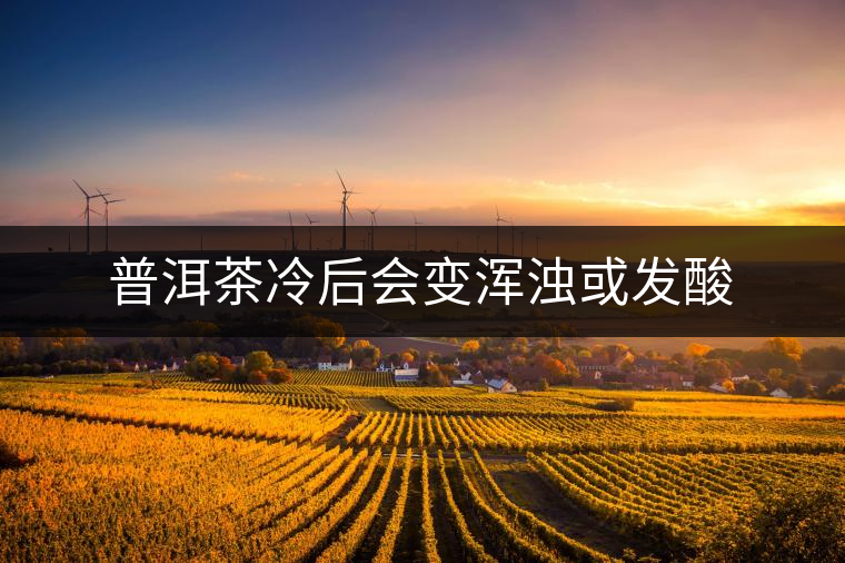 普洱茶冷后會(huì)變渾濁或發(fā)酸