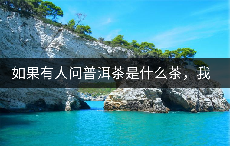 如果有人問普洱茶是什么茶，我就請他看這個(gè)段子