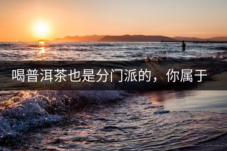 喝普洱茶也是分門派的，你屬于哪派呢？